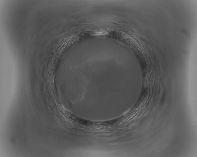 X0000113621441200909181430