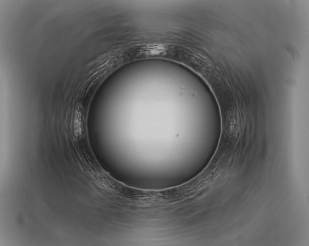 X0000113621442200909181430