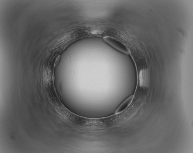 X0000113621443200909181430