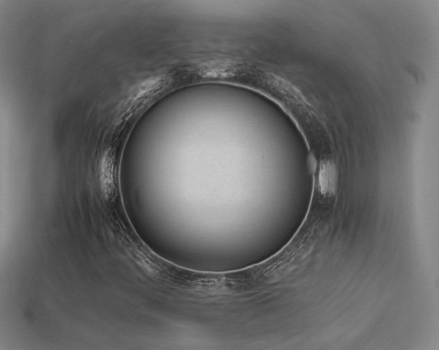 X0000113621444200909181430