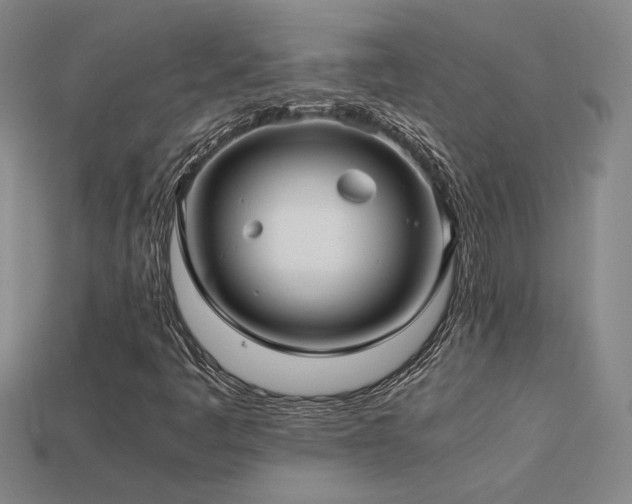 X0000113621445200909181430