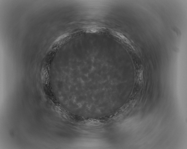 X0000113621446200909181430