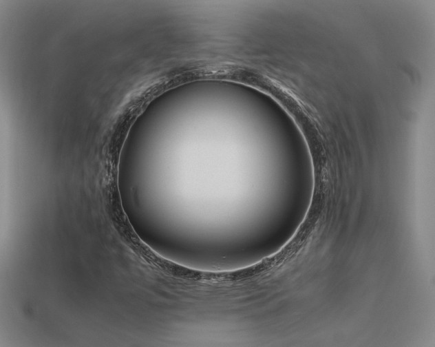 X0000113621447200909181430