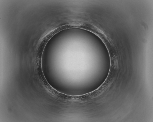 X0000113621448200909181430