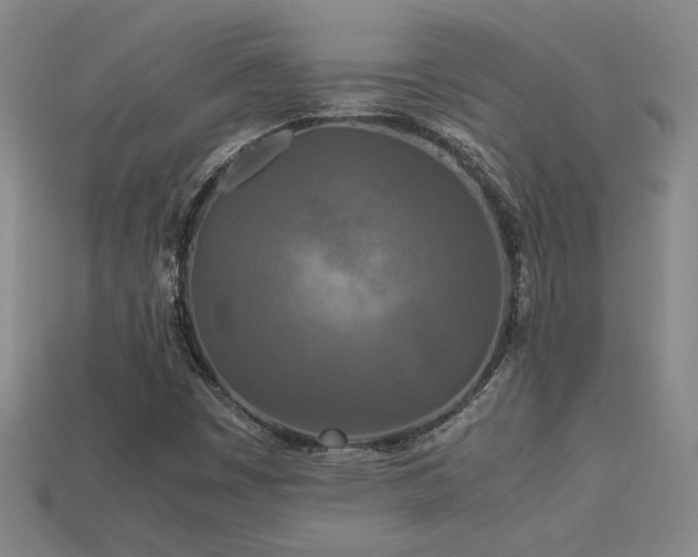 X0000113621449200909181430