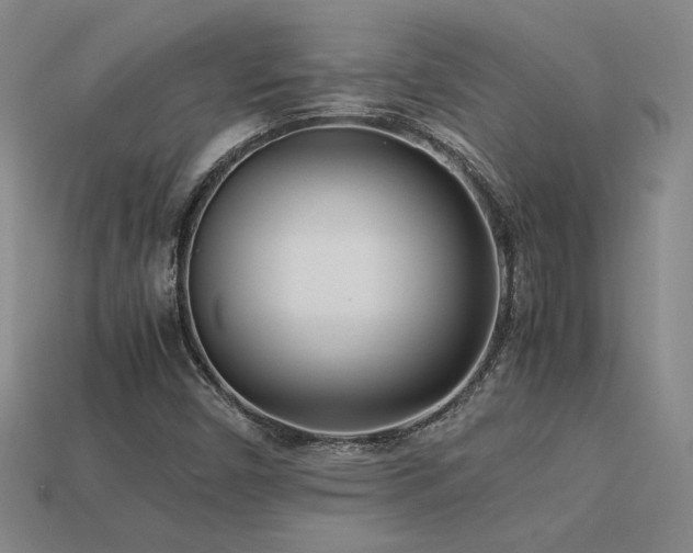 X0000113621450200909181429