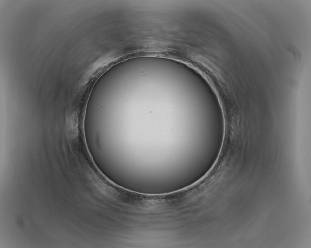 X0000113621451200909181429