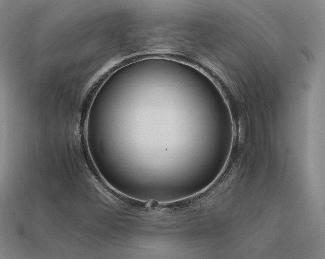 X0000113621452200909181429