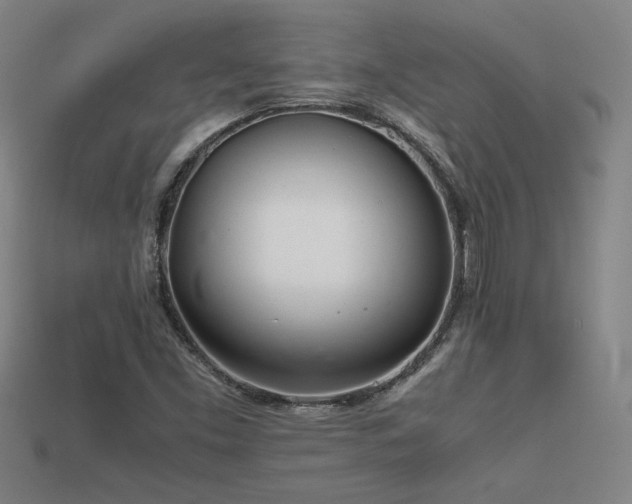 X0000113621453200909181429