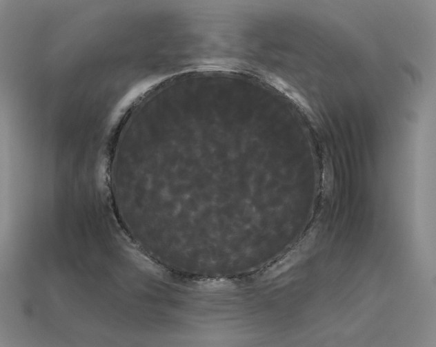 X0000113621454200909181429