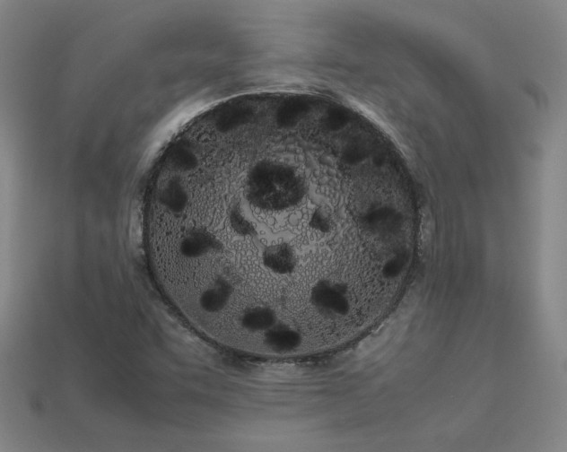 X0000113621455200909181429