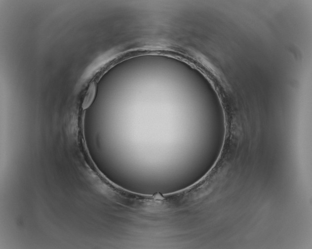 X0000113621456200909181429