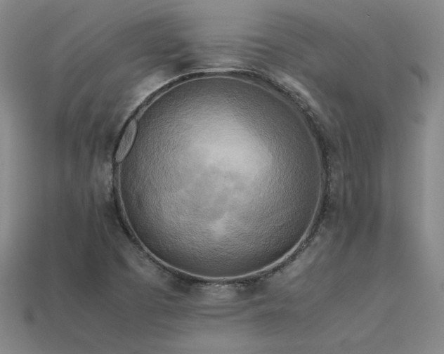 X0000113621457200909181429