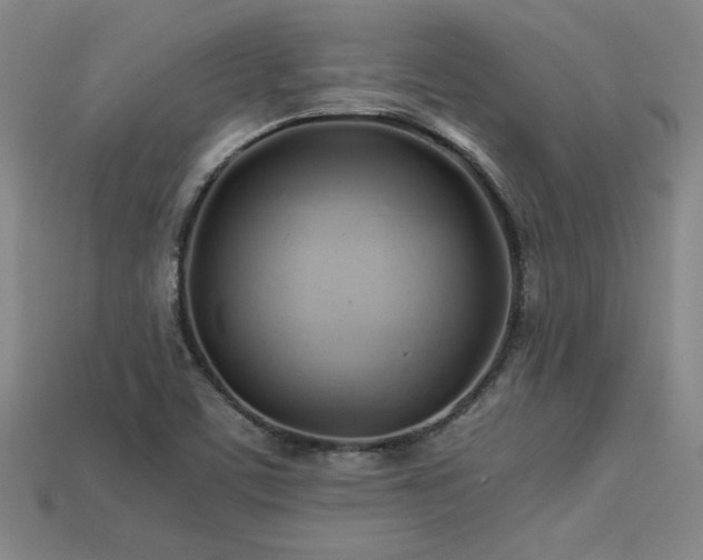 X0000113621459200909181429