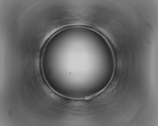 X0000113621460200909181429