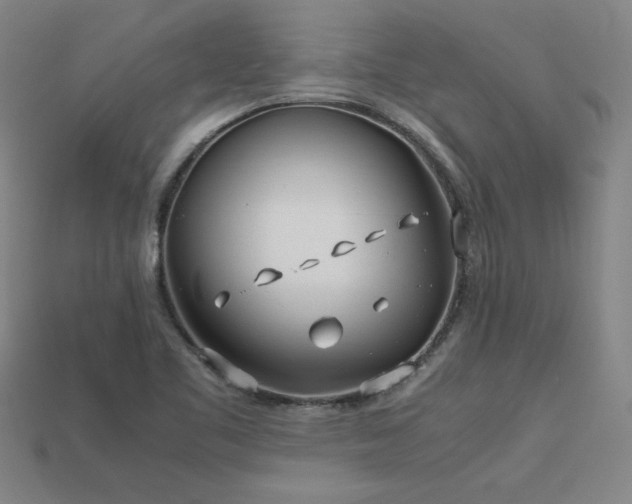 X0000113621461200909181429