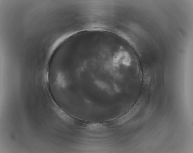 X0000113621462200909181429