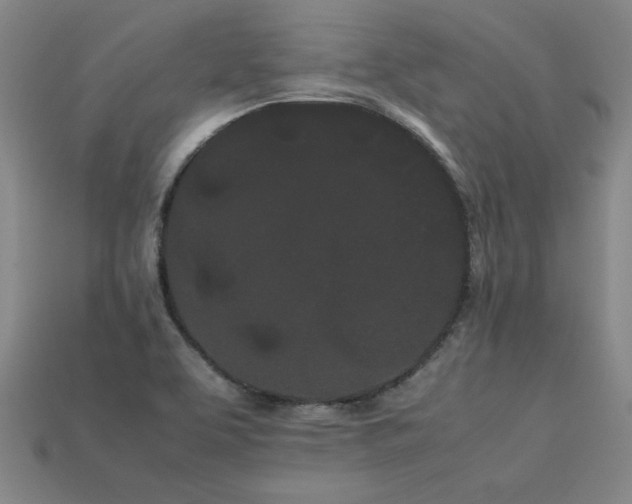 X0000113621463200909181429