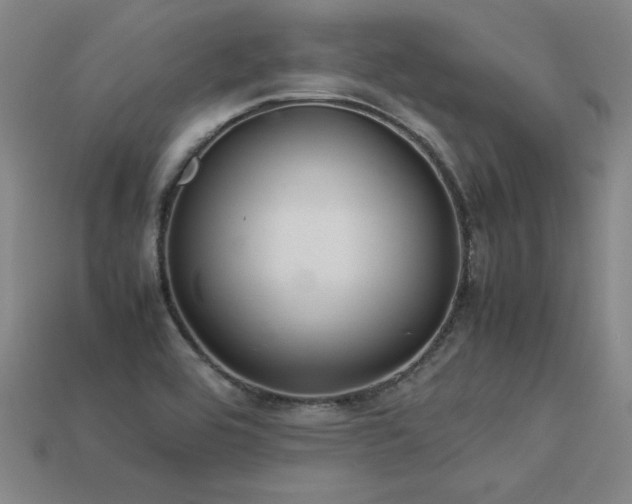 X0000113621464200909181429