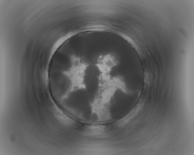 X0000113621466200909181429