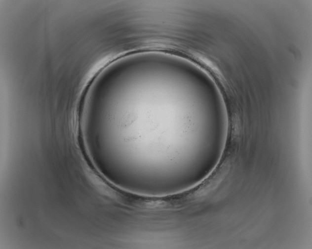 X0000113621467200909181429