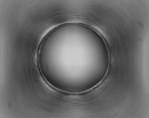 X0000113621468200909181429