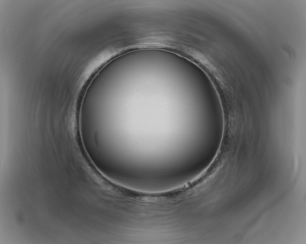 X0000113621469200909181429