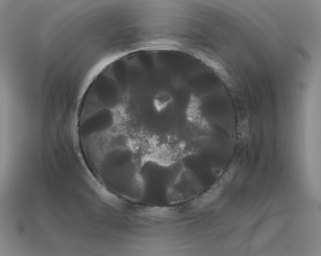 X0000113621470200909181429