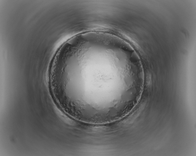 X0000113621471200909181429