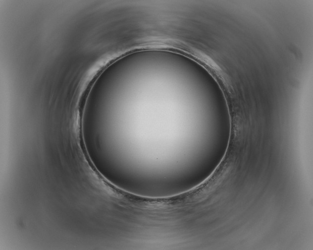 X0000113621472200909181429