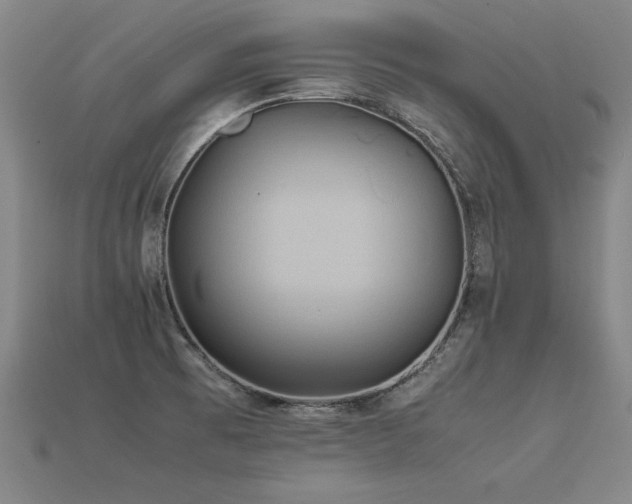 X0000113621473200909181429