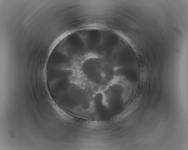 X0000113621474200909181429