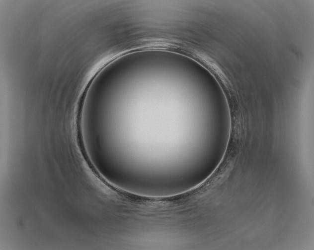 X0000113621475200909181429