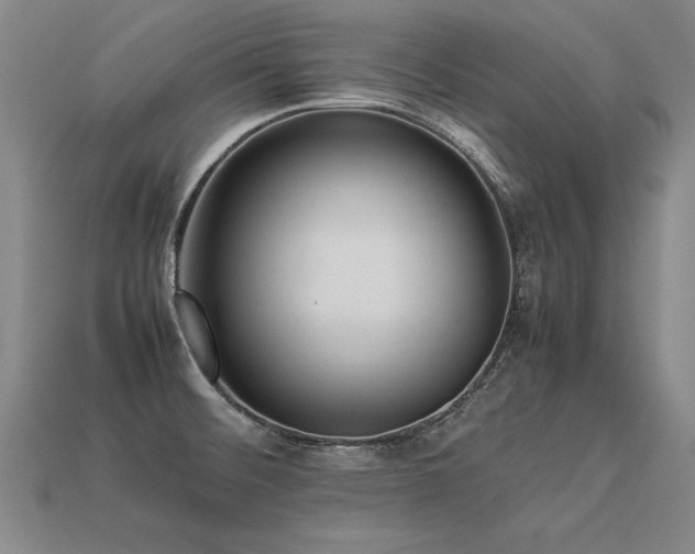 X0000113621476200909181429