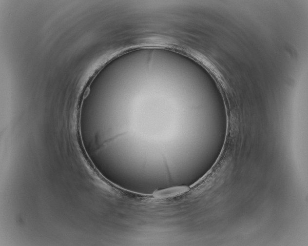 X0000113621477200909181429