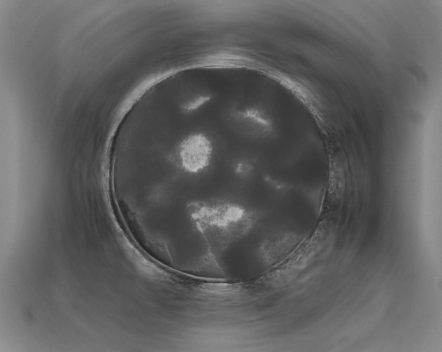 X0000113621478200909181429