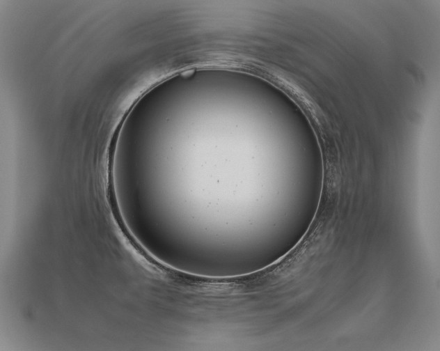 X0000113621479200909181429