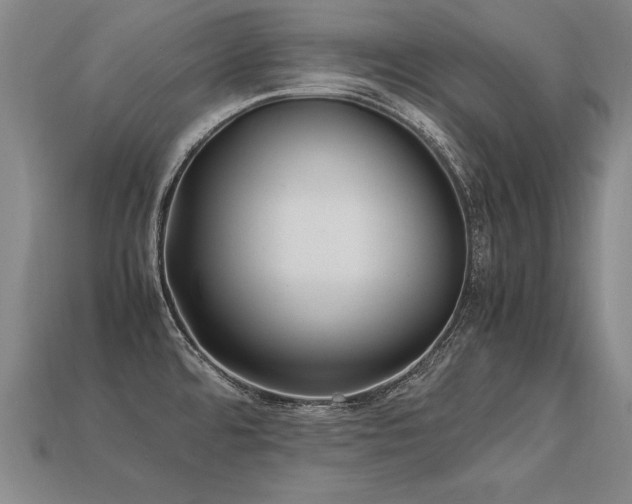 X0000113621480200909181429