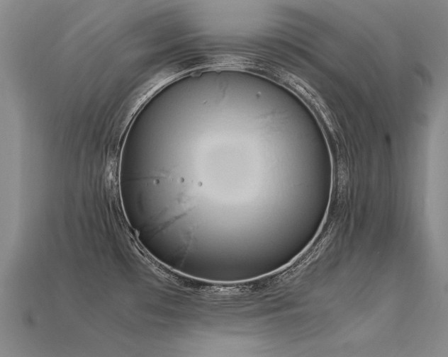 X0000113621481200909181429