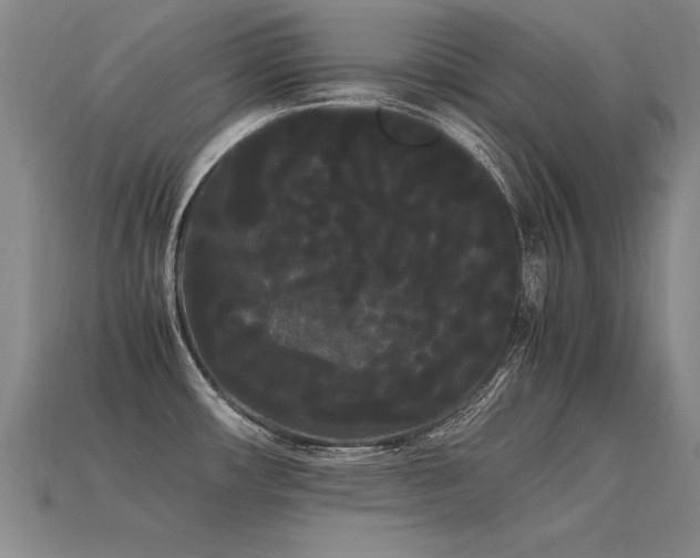 X0000113621482200909181429