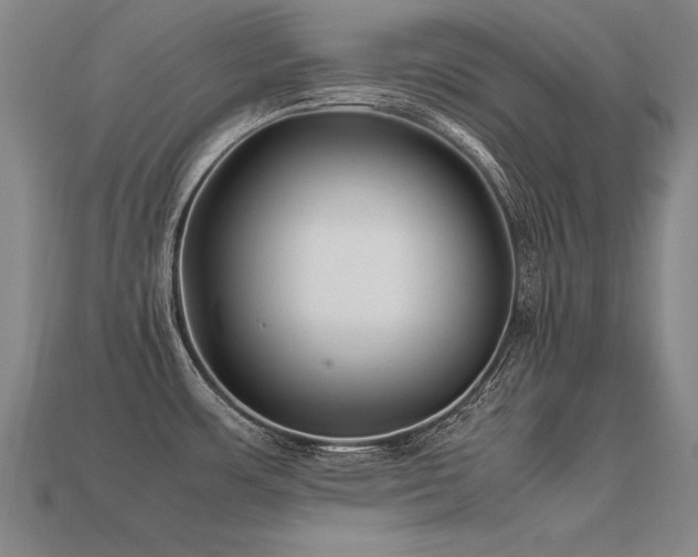 X0000113621483200909181429