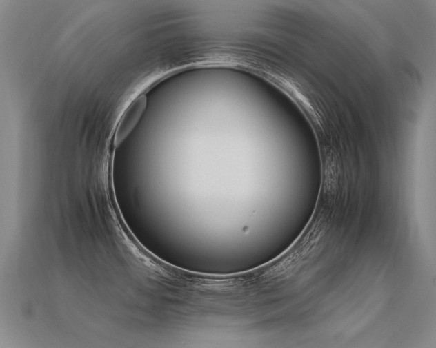 X0000113621484200909181429