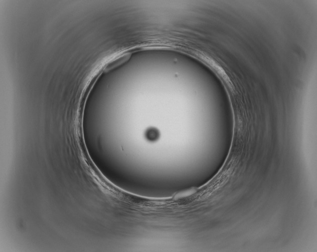 X0000113621485200909181429