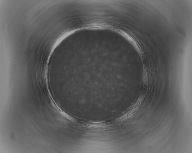 X0000113621486200909181429