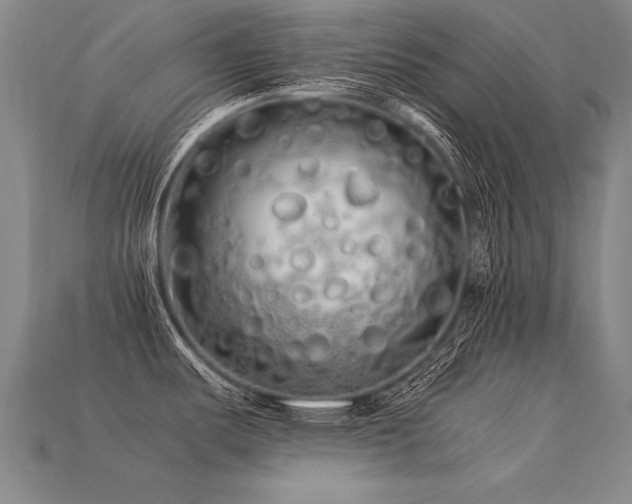 X0000113621487200909181429