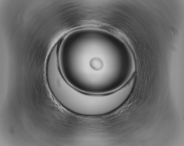 X0000113621488200909181429