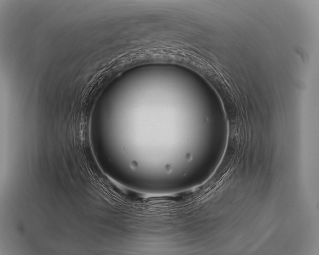 X0000113621490200909181428