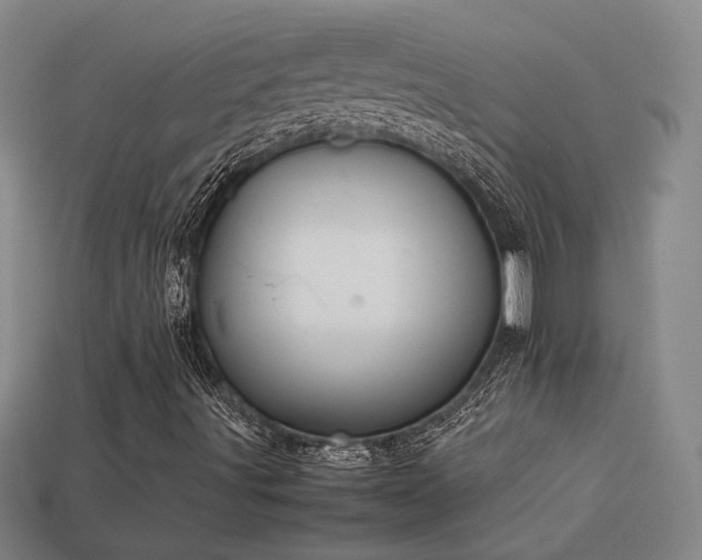 X0000113621491200909181428