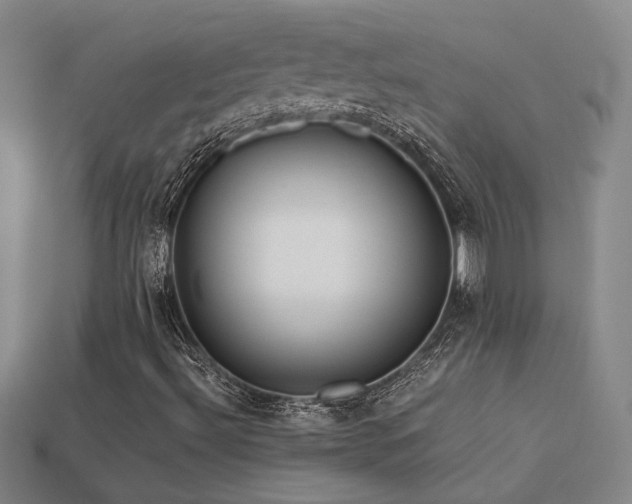 X0000113621492200909181428