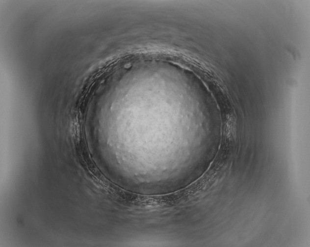 X0000113621493200909181428